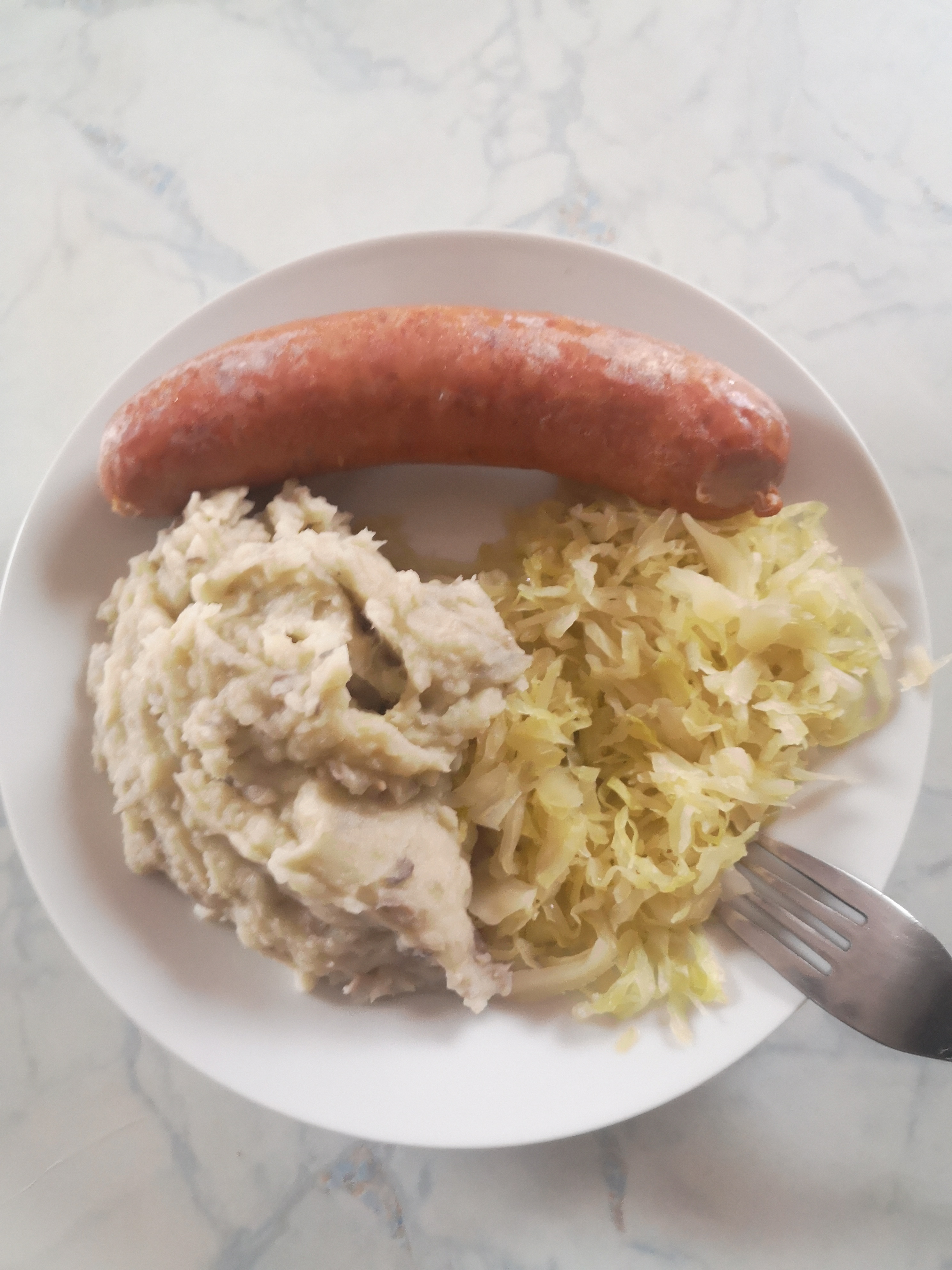kislo_zelje_z_matevc5beem_in_kranjsko_7g_pajk_nino_3